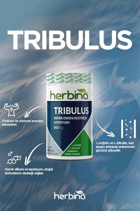 Herbi̇na herbituss 150 ml takviye edici gıda