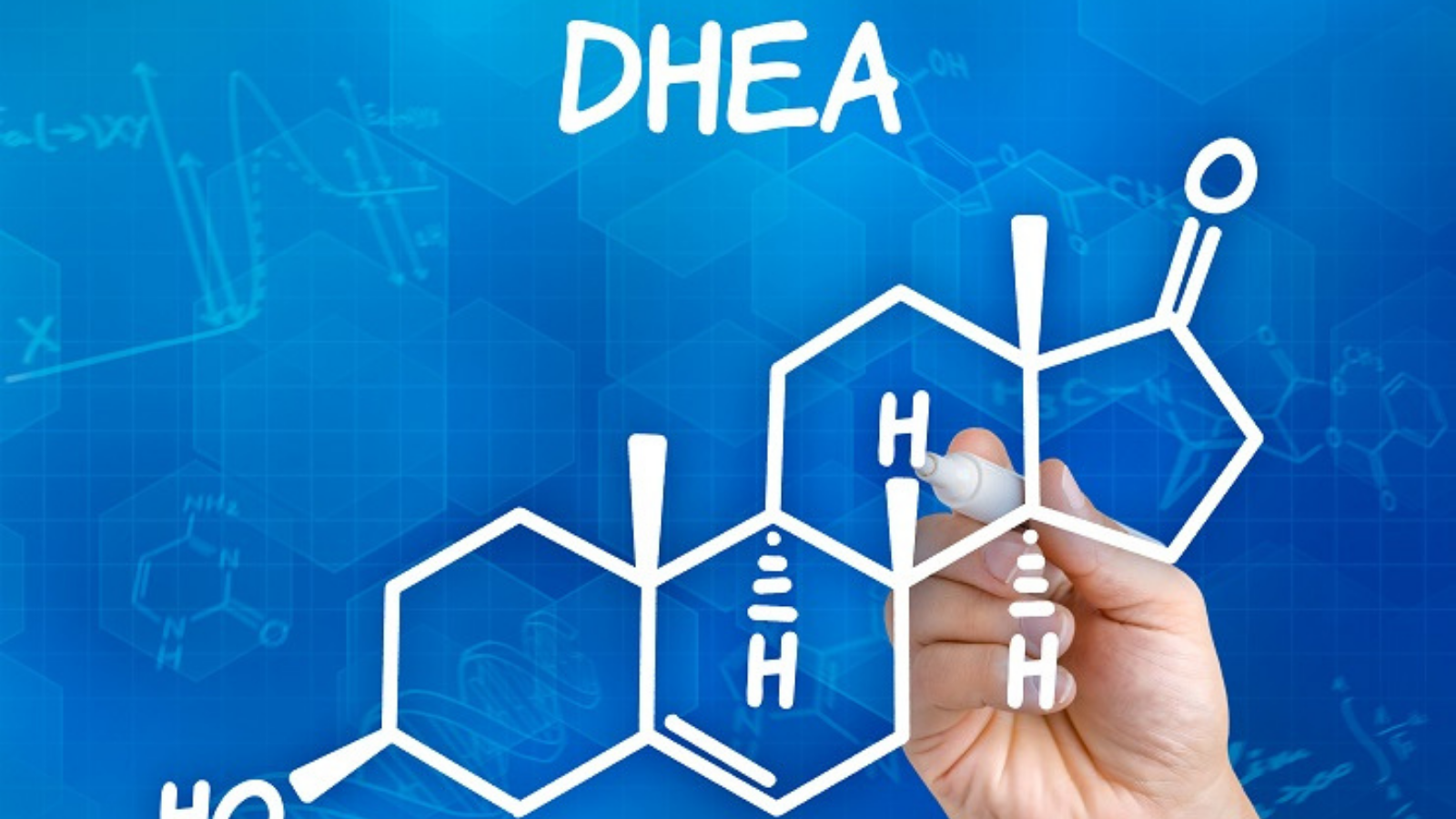 DHEA Nedir ve Faydaları Nelerdir?